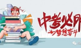 胡桃服饰爆料最新消息,揭秘品牌新动向与神秘新品